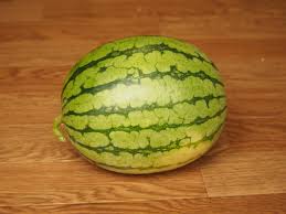 Watermelon small size
