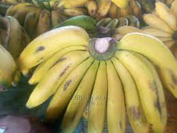Yellow banana (Bogoya)