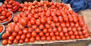 Tomatoes Big basket