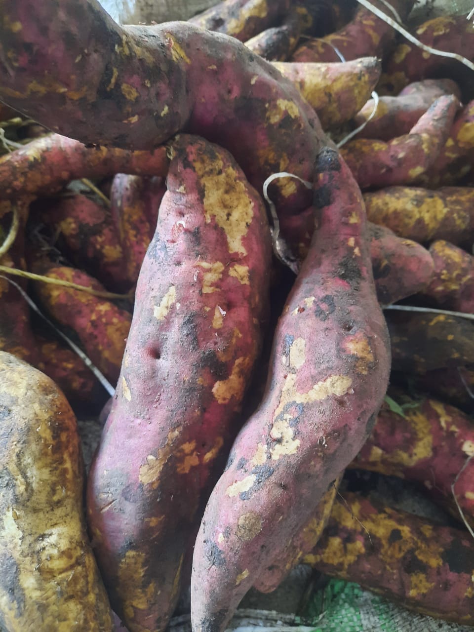 Sweet Potatoes 1Kg