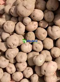 Irish Potatoes 1kg