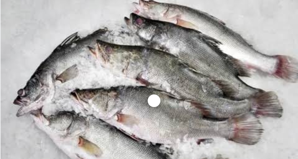 Chilled Perch/iced Nile perch