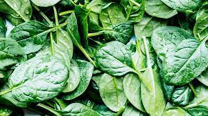 Spinach 1 bundle