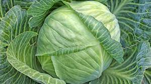 Cabbages