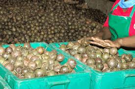 Passion Fruits 1Kg
