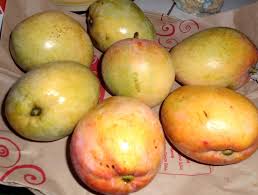 Apple mangoes 1 kg