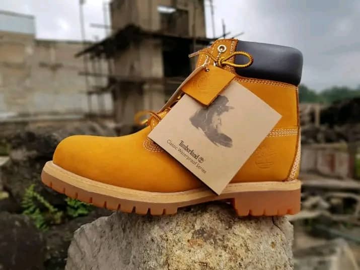 Timberland shoe 1