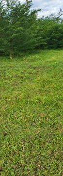 Land for sale in Kamwenge town  50ft by 100 ft around station way road